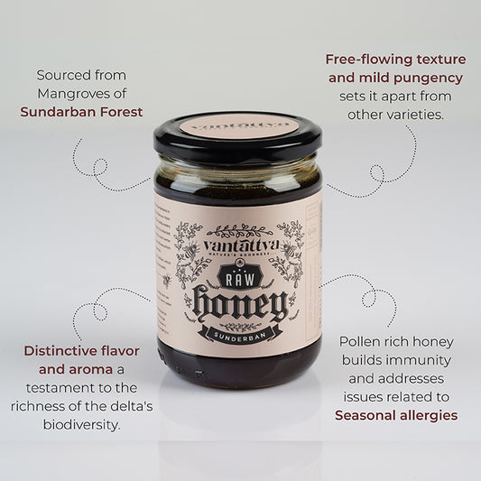 Sundarban Wild Forest Honey-700g