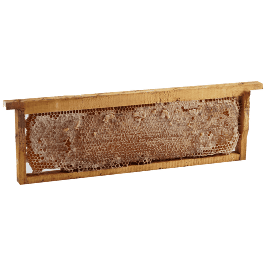 Honeycomb frame